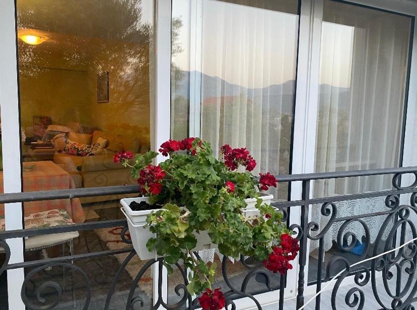 Villa Mare Apartments Тиват Экстерьер фото